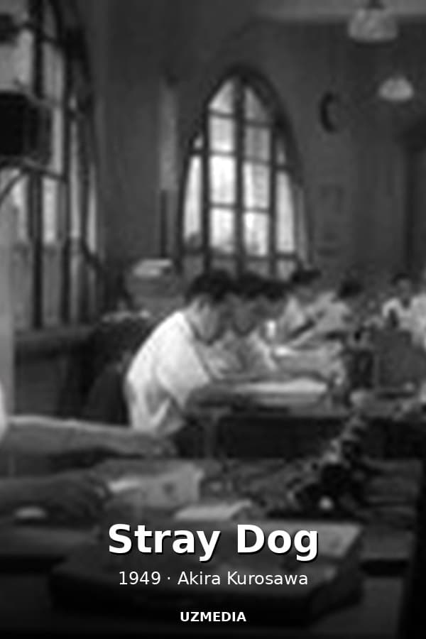 Stray Dog — Фильм 1949