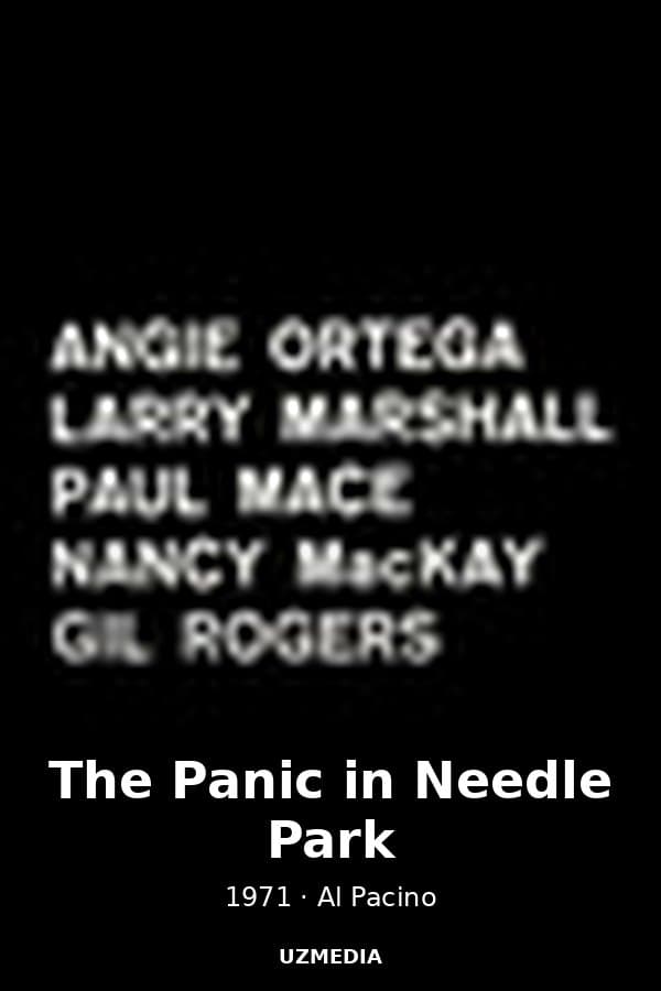 The Panic in Needle Park — Movie 1971
