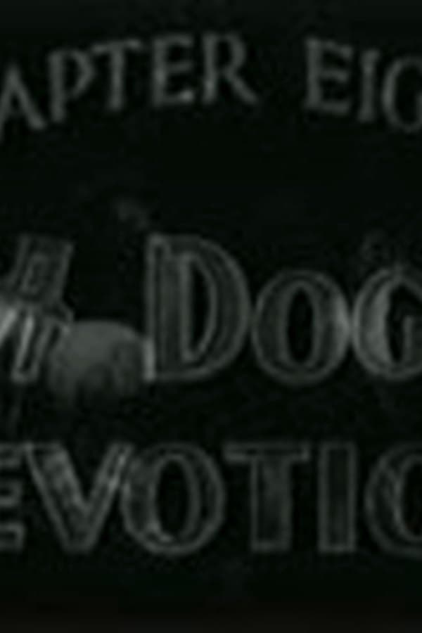 The Adventures of Rex and Rinty (1935) Chapter 08 - A Dog's Devotion — Фильм 1935