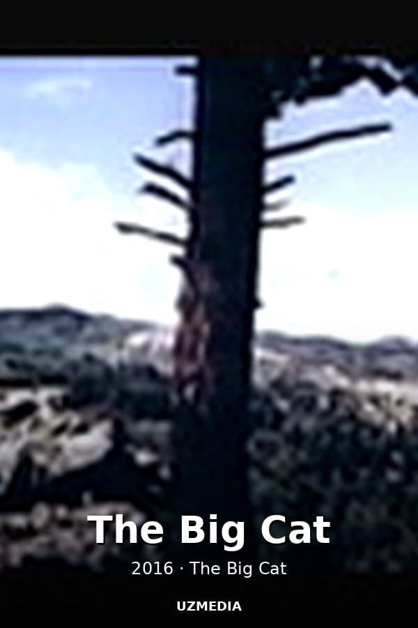 The Big Cat — Kino 2016