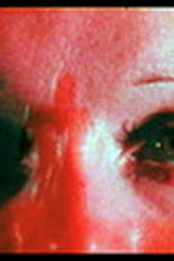 The Light Fantastick — Movie 1974