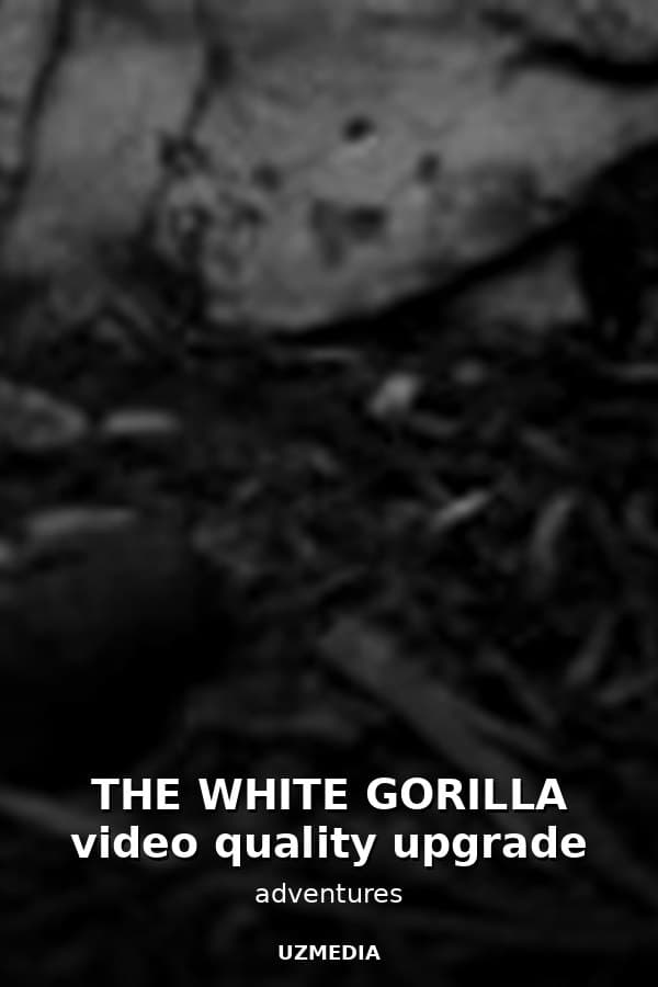 THE WHITE GORILLA video quality upgrade — Kino 