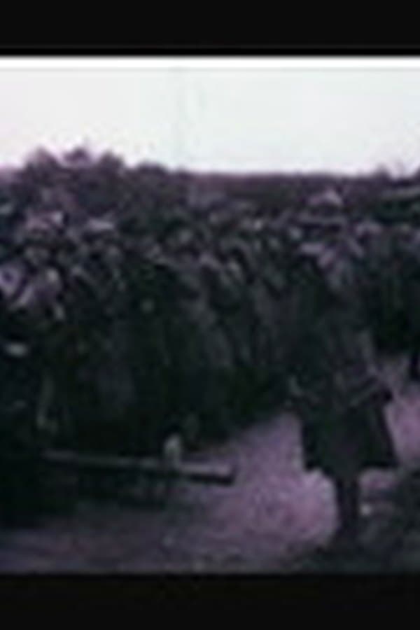 The World at War 19 -- Pincers, August 1944 - March