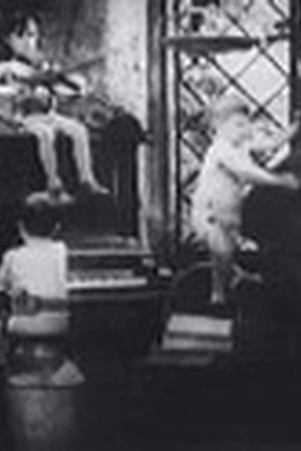 War Babies — Kino 1932