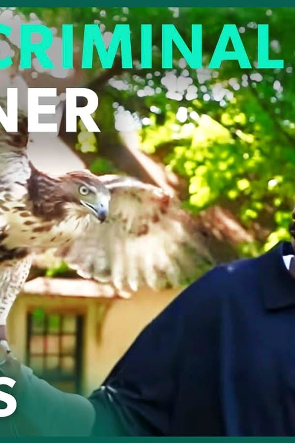 Former Criminal Builds a Bird Sanctuary To Heal a City — Kino