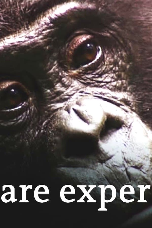 Medicine from the jungle - Rainforest pharmacy — Kino