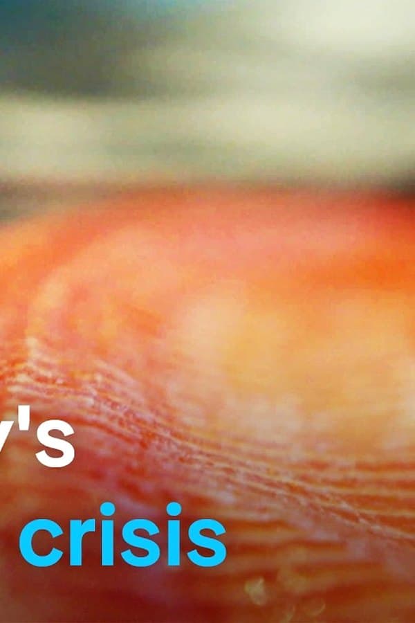 Can Norway's wild salmon be saved? — Kino
