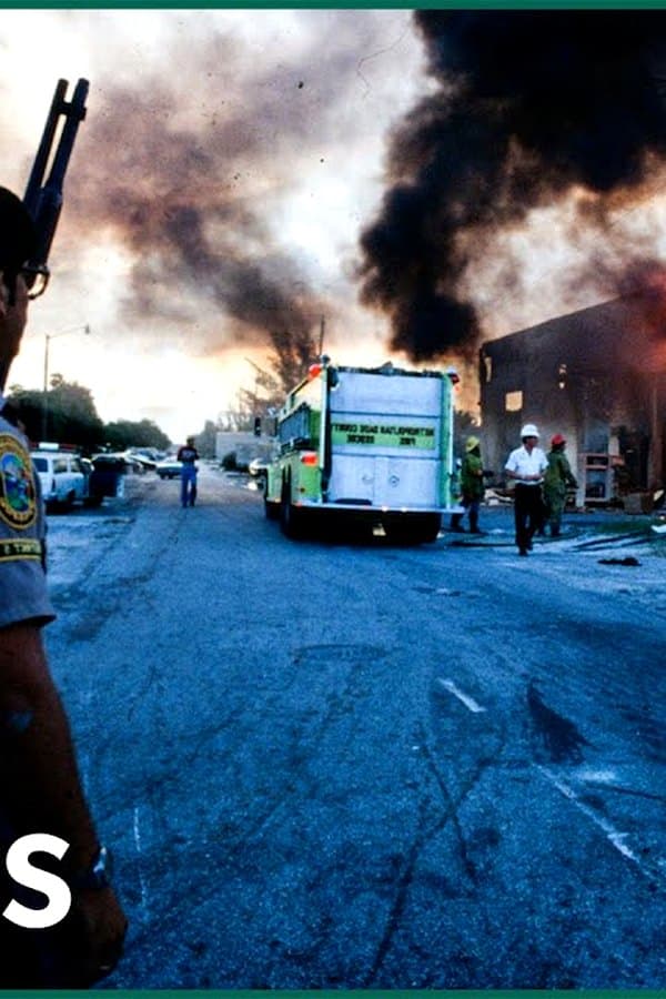 When Liberty Burns: The Tragic Killing of Arthur Lee McDuffie