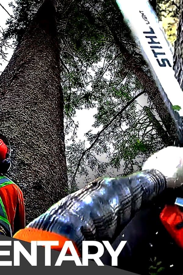 World's Most Dangerous Jobs: Lumberjacks — Kino