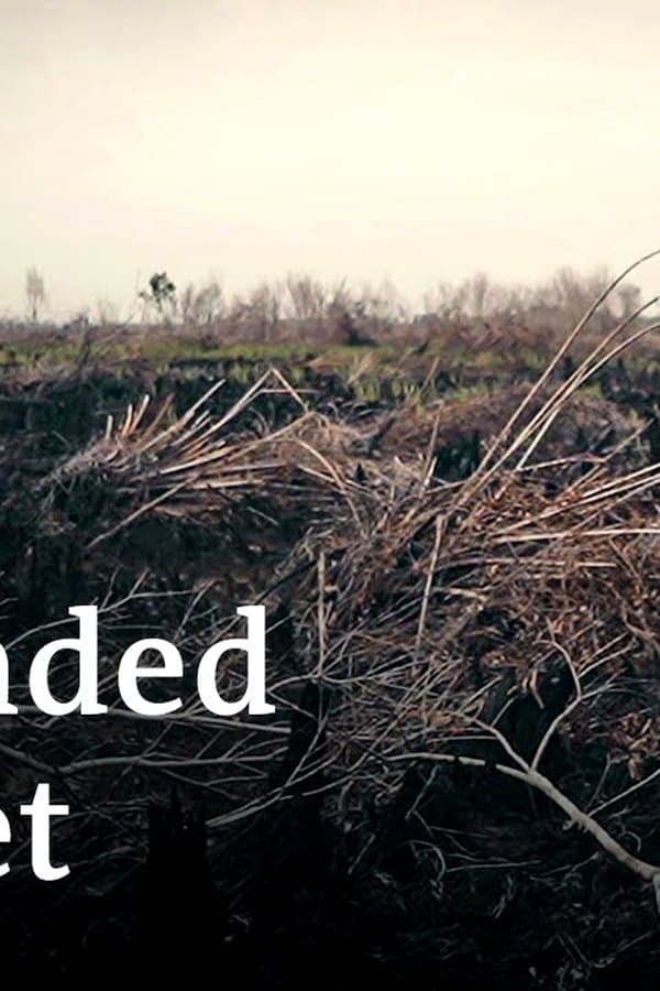 Sustainable business, rethinking growth - Founders Valley (1/3) — Фильм