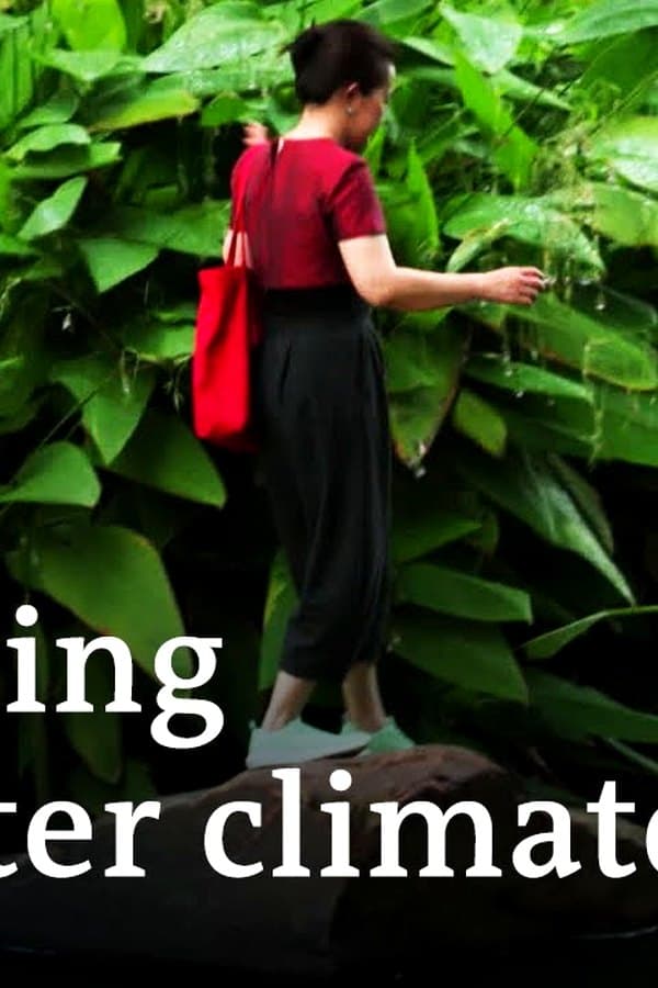 Floods, heavy rain, extreme weather - Why we need to build differently — Фильм
