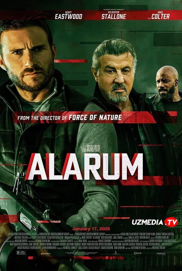 Alarum — Kino 2025