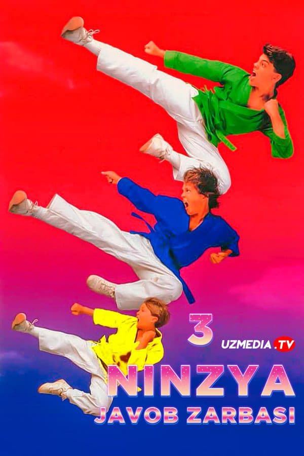 3 nindzya 2: Javob zarbasi — Kino 1994