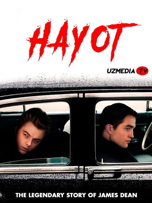 Hayot — Kino 2015