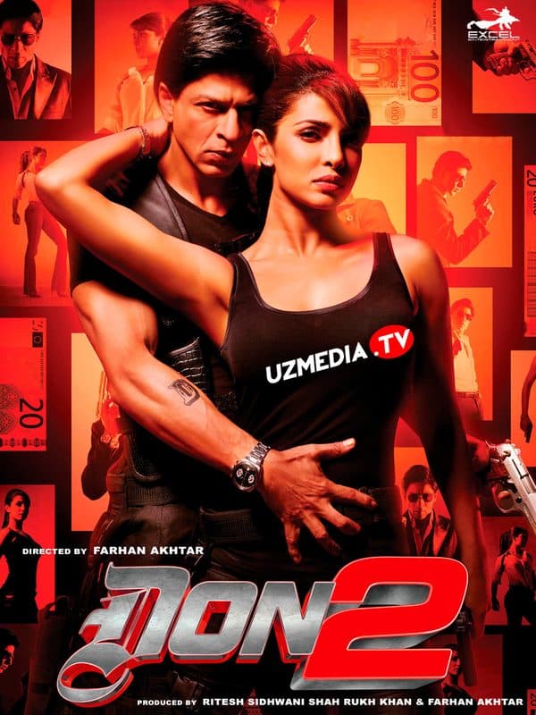 Don 2 — Kino 2011