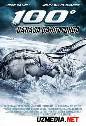 100 — Фильм 2013