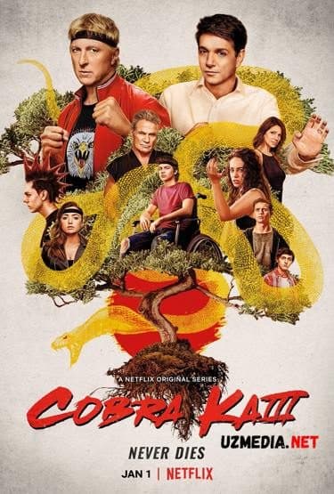 Кобра Кай — Movie 2018