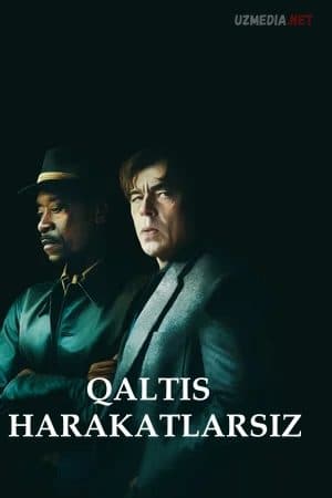 Qaltis harakatlarsiz — Movie 2021
