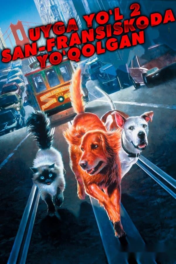 Uyga yo'l 2: San-Fransiskoda yo'qolgan — Фильм 1996