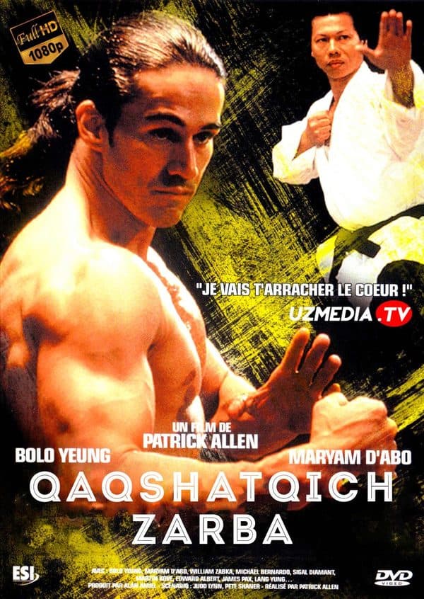 Qaqshatqich zarba 1 — Kino 1992