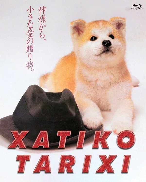 Xatiko tarixi — Фильм 1987