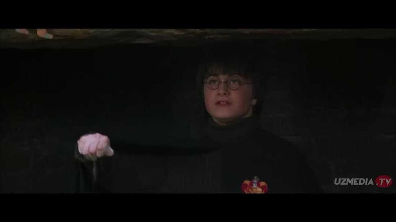 Garri Potter 2: Mahfiy hujra