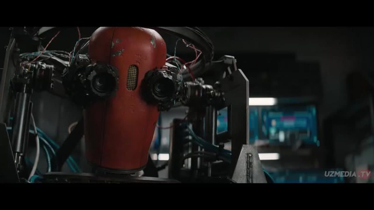 Finch Fantastik