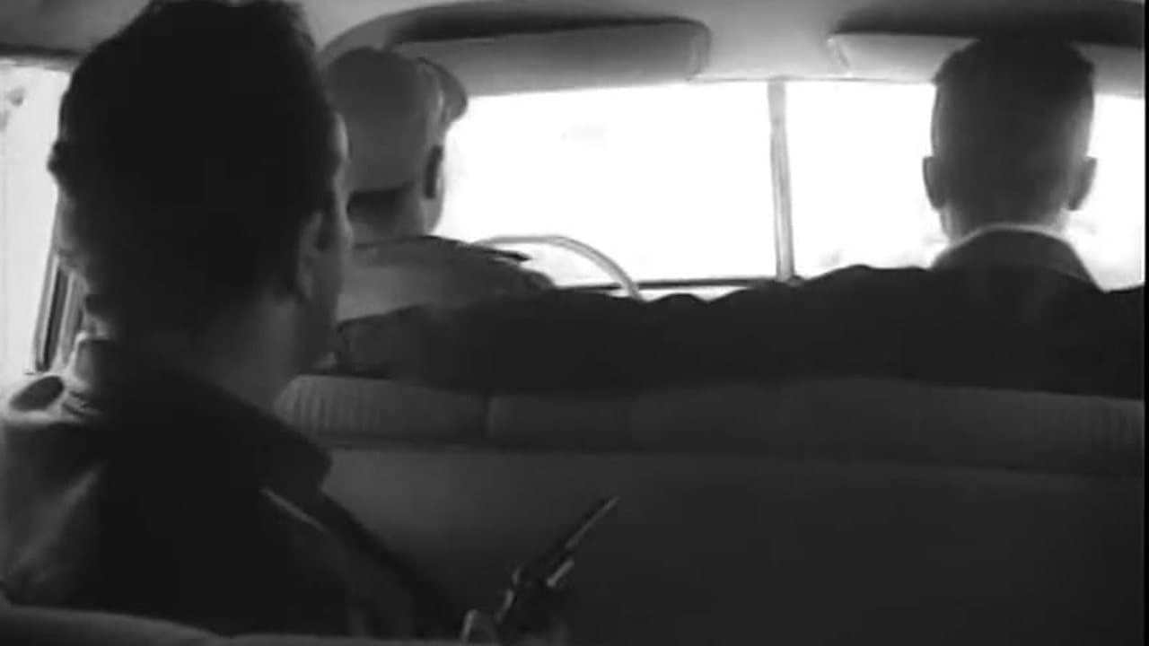 The Hitch-Hiker