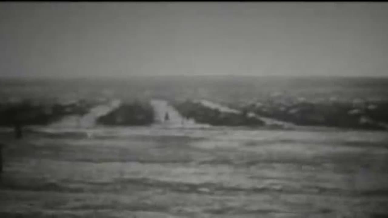 Lion of the Desert (Umar al Mukhtar) 2
