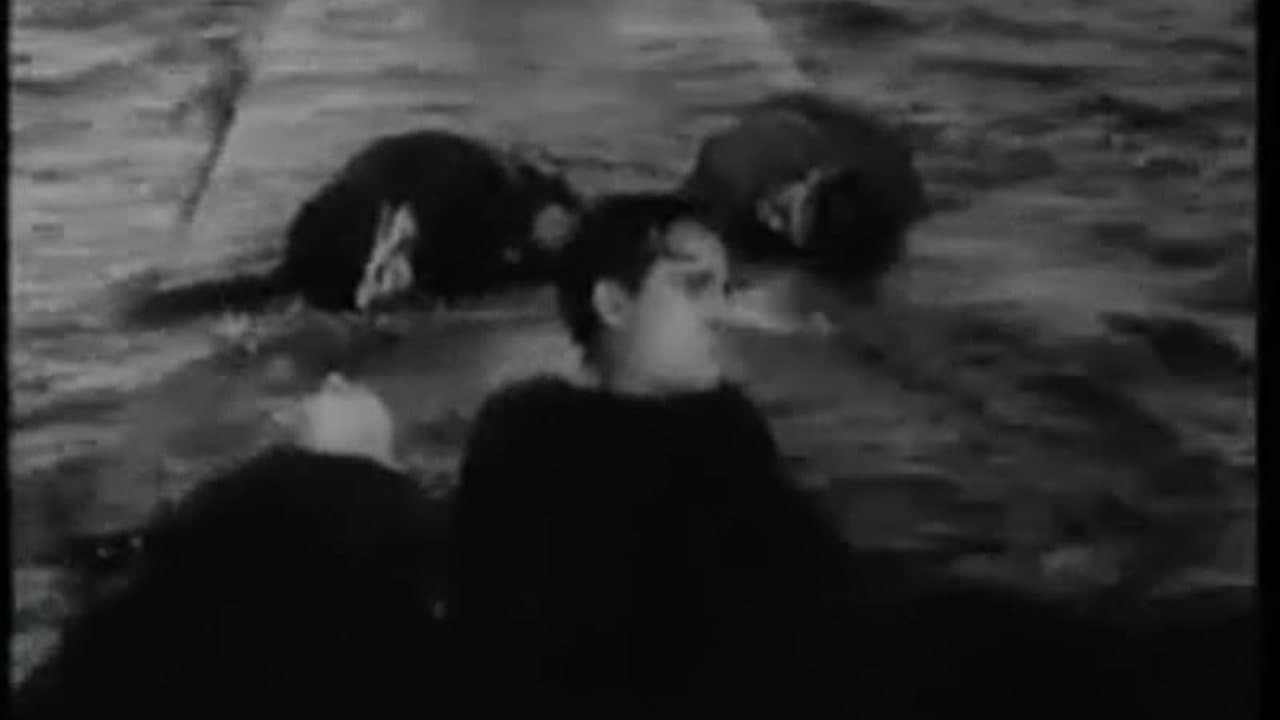 20,000 Leagues Under the Sea - mp4 version