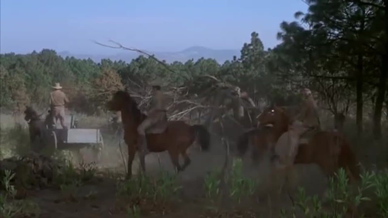 Rio Lobo (1970 John Wayne Western Civil War)