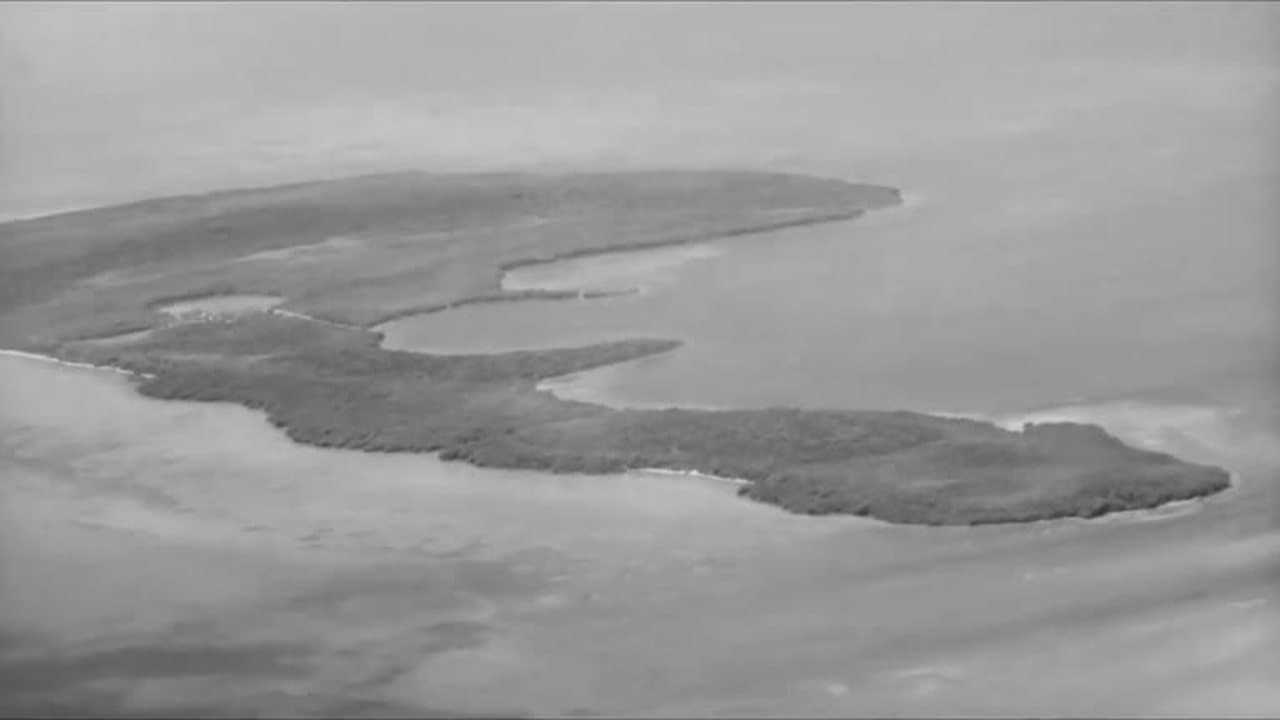 I Eat Your Skin(1971) WIDESCREEN VERSION