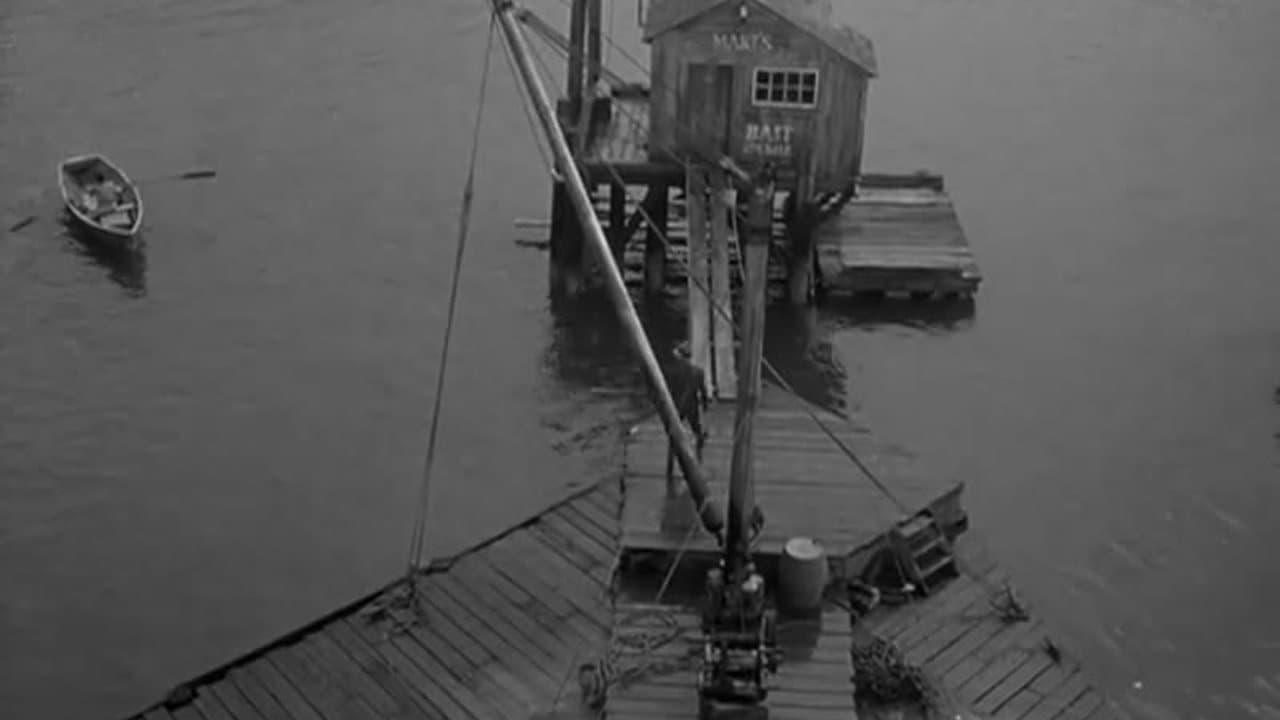 Pickup On South Street (1953) Richard Widmark, Jean Peters - Film Noir