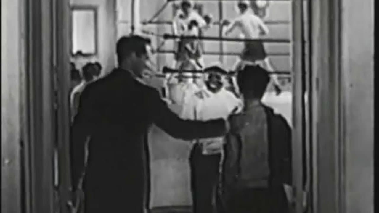 Born_To_Fight