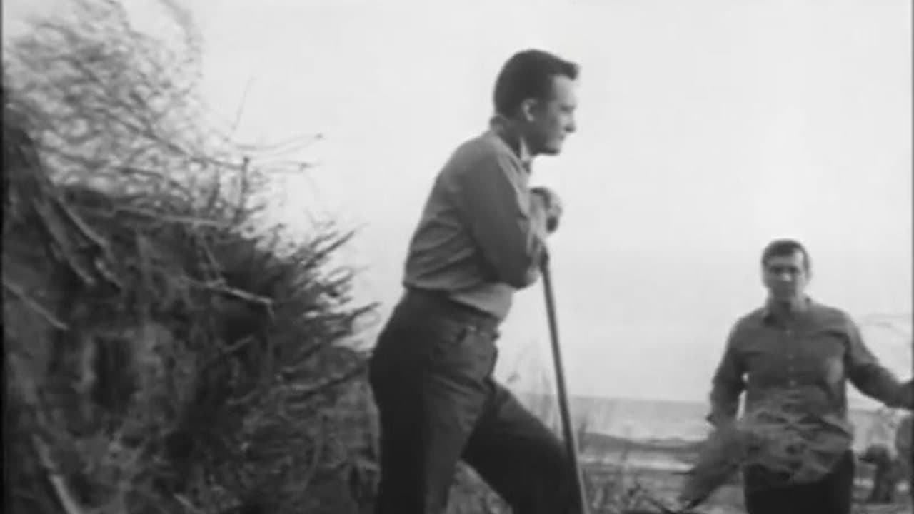 Jerry Warren's TERROR OF THE BLOODHUNTERS