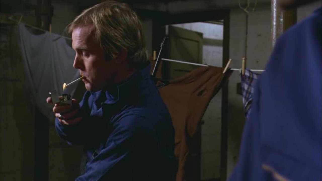 Dawn Of The Dead 1978