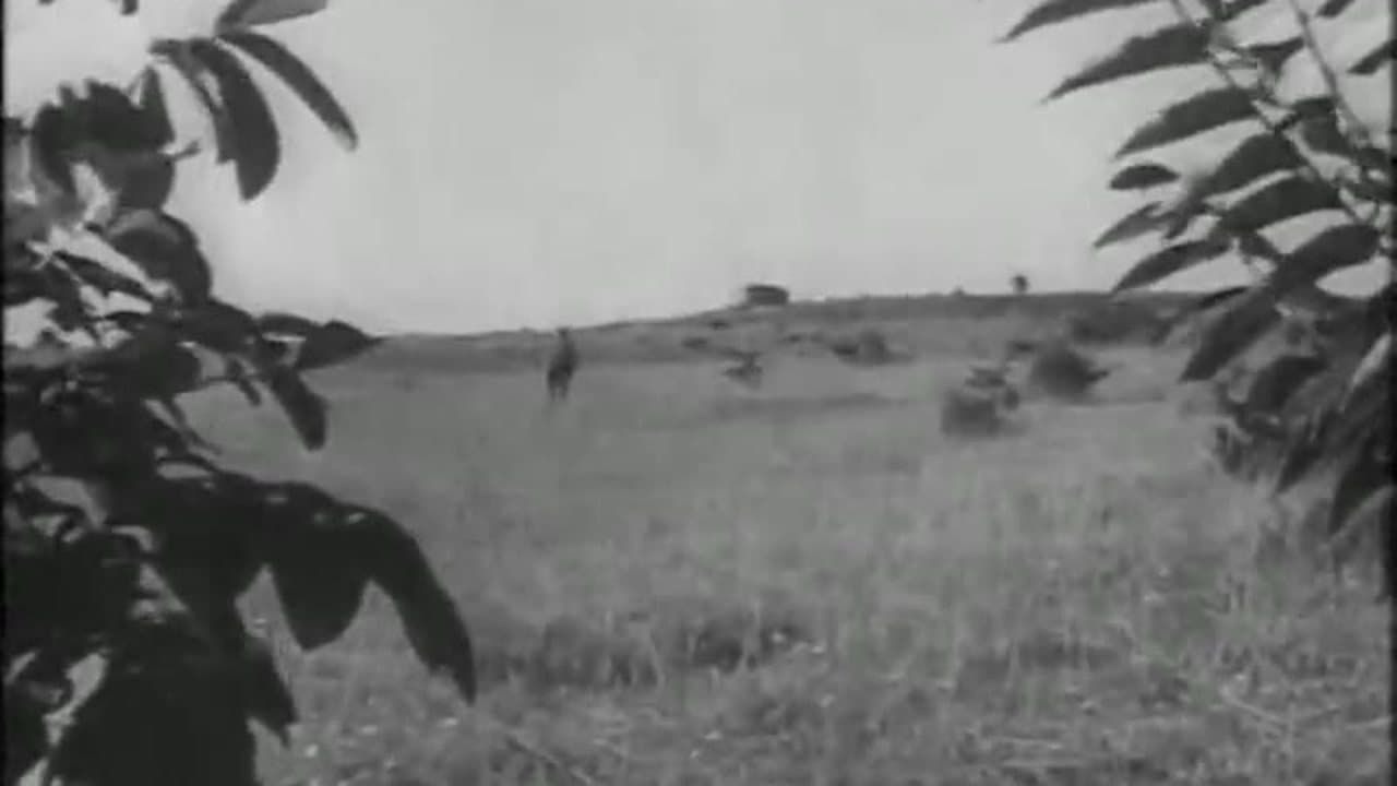 German snipers - der deutsche scharfschutze