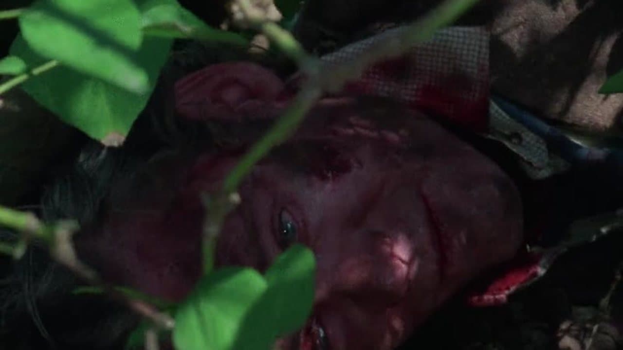 Rogue Male Peter O' Toole