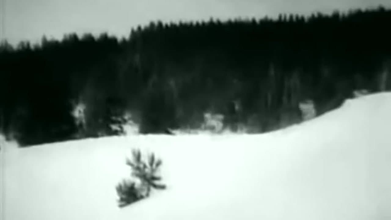 Ski Troop Attack