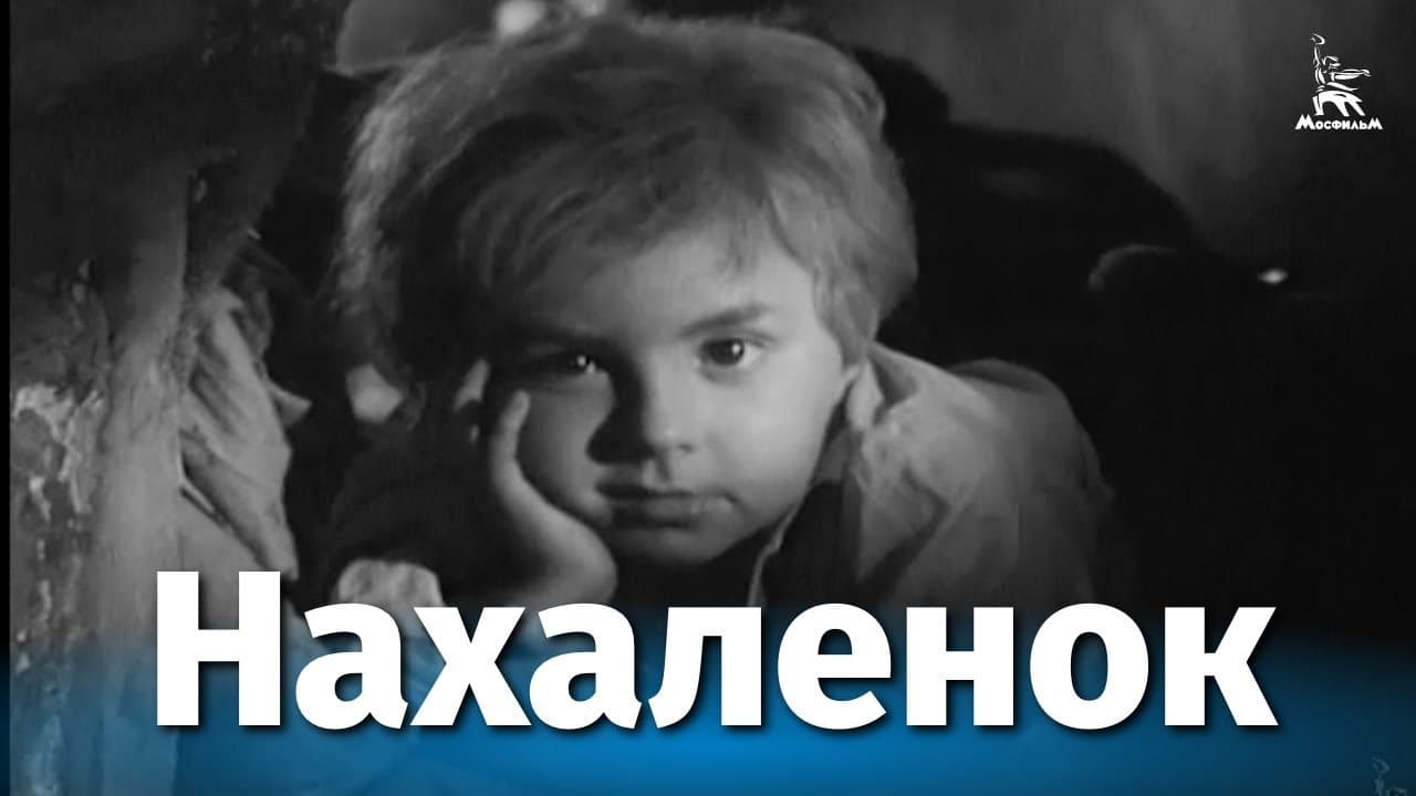 Нахаленок