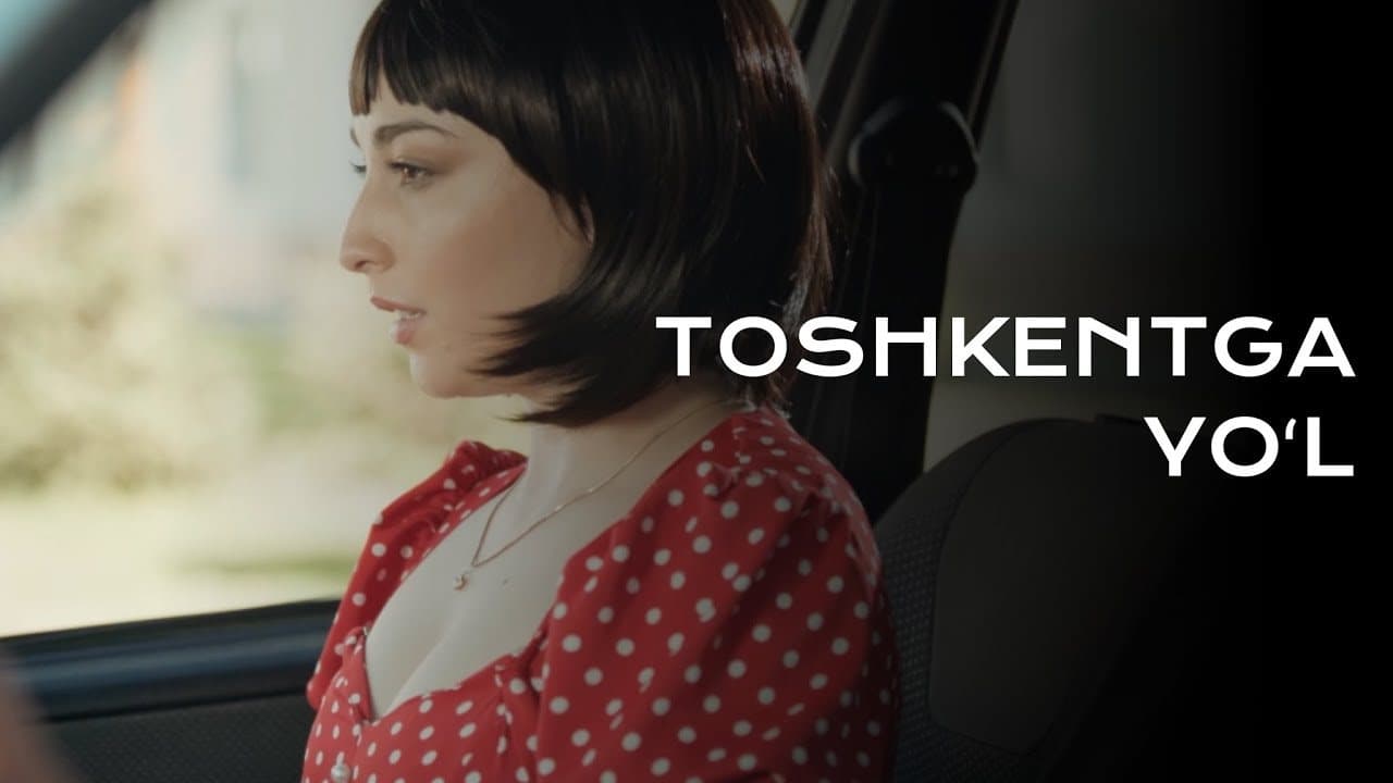 TOSHKENTGA YO'L