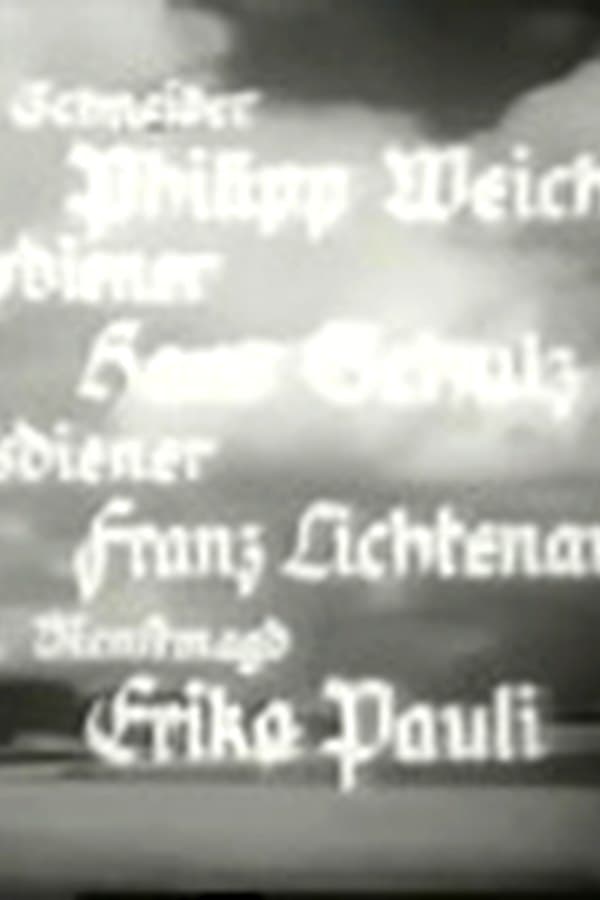 Der Schimmelkrieg In Der Holledau