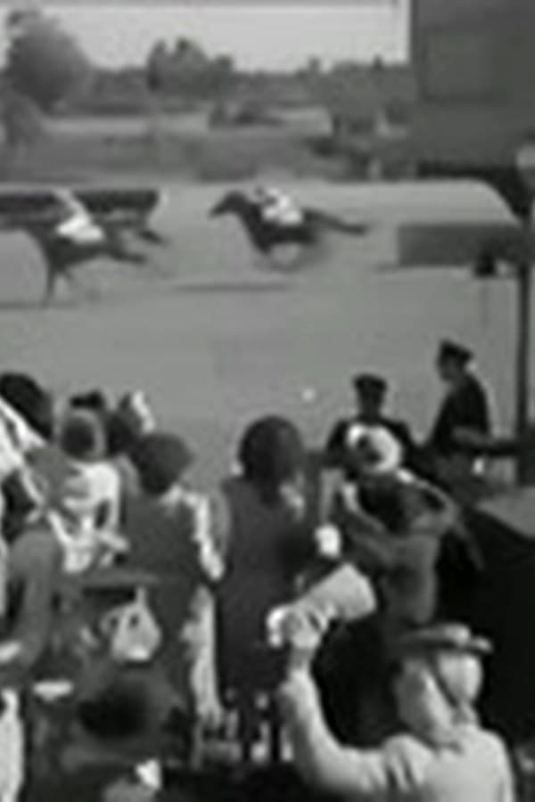 1945 Der Mann Im Sattel) Harry Piel)