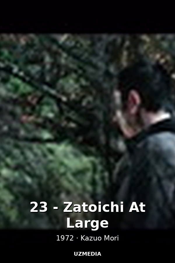 23 - Zatoichi At Large — Фильм 1972