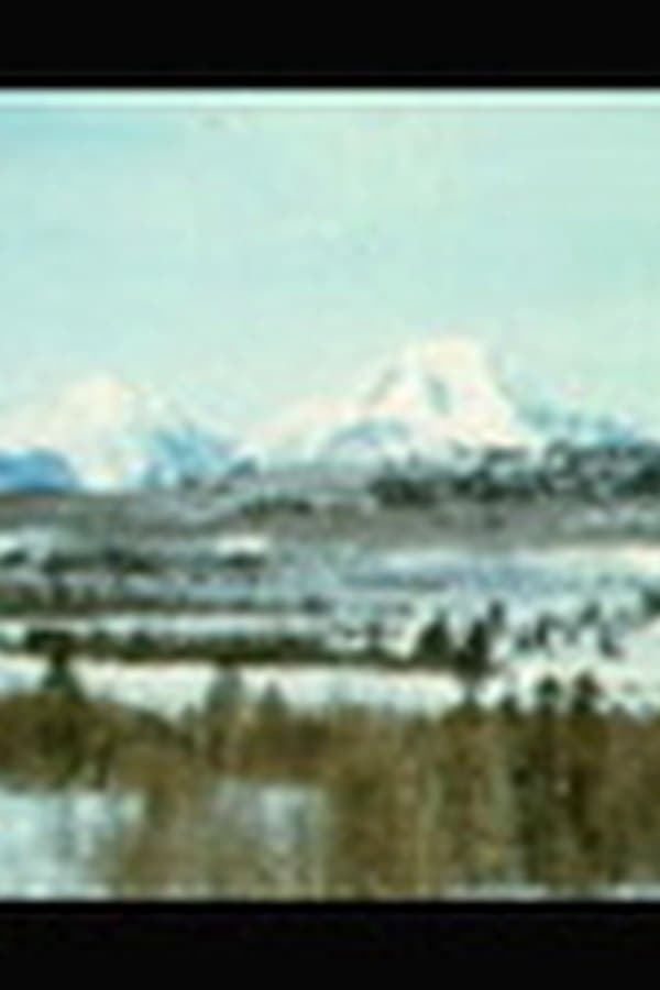 Bear Country — Kino 1952