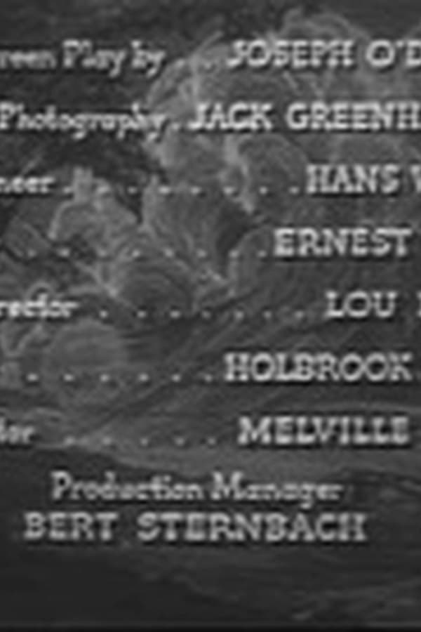 Billy The Kid In Texas BOB STEELE — Kino 1940