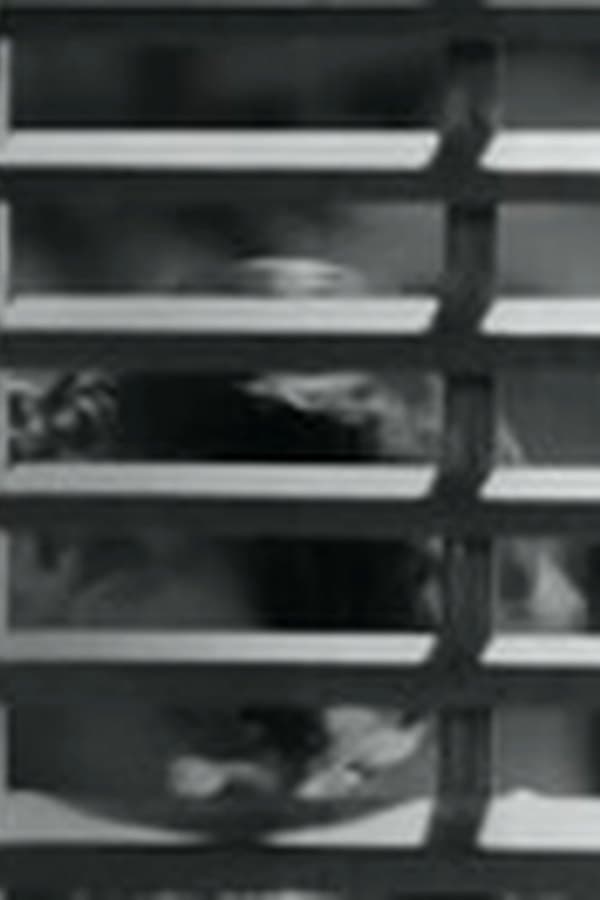 Büyük Kin, Turkish Movie — Kino 1967