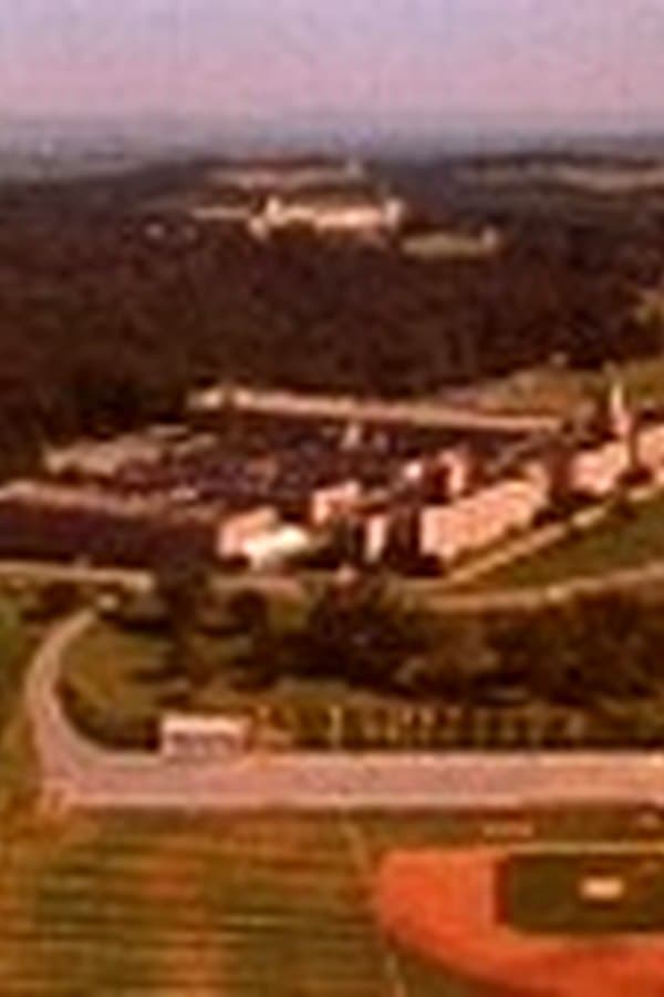 The Great American Chocolate Factory