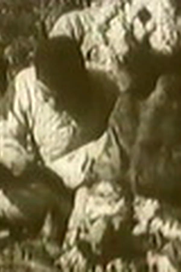 Huangjiang nüxia