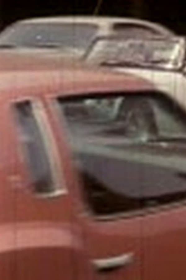 Joy Ride - an Auto Theft — Kino 1976
